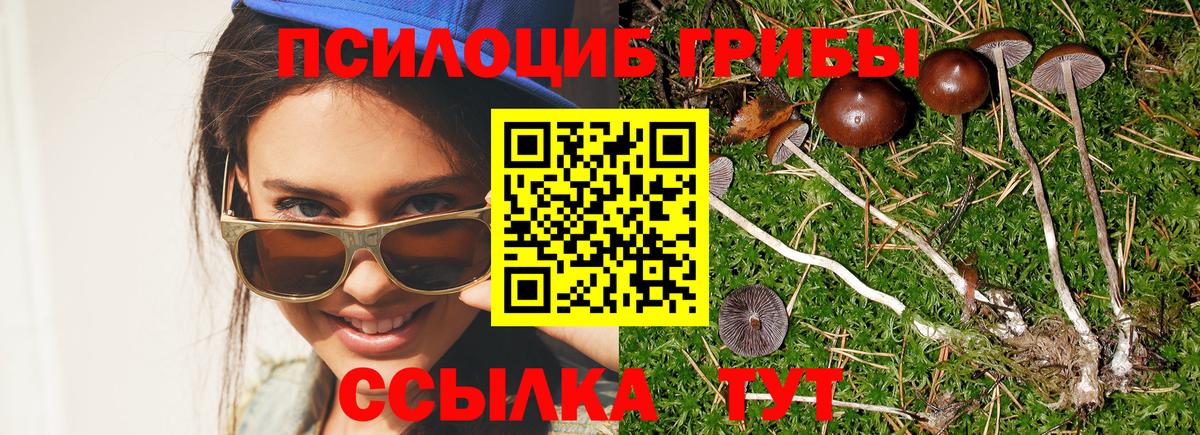 Псилоцибиновые грибы GOLDEN TEACHER Химки